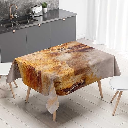 Lioness Wild Looking Art Manteles De Mesa Elegantes Mantel de picnic para comedor, 52 x 70 pulgadas