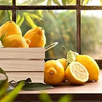 Vista 6 de Paquete de 4 mini cajas de madera rústica, cajas decorativas de madera sin terminar, caja de almacenamiento de madera para cocina, oficina