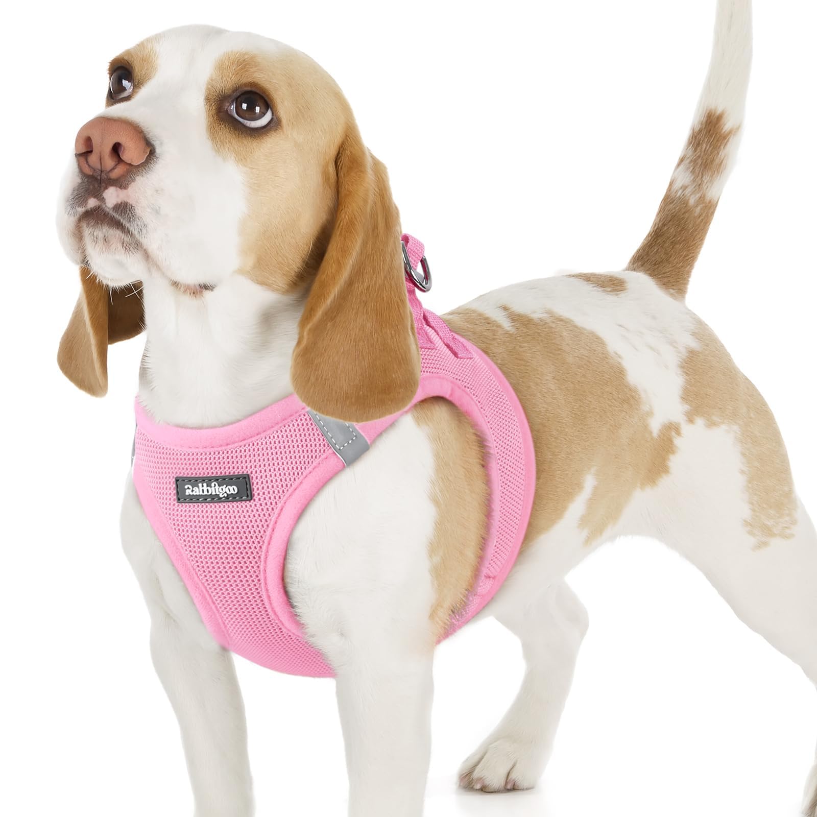 rabbitgoo Dog Harness Small Dog, Step-in Soft Mesh Puppy Harness with Reflective Strips, Lightweight Breathable Pet Vest for Walking Training, Light Pink, M