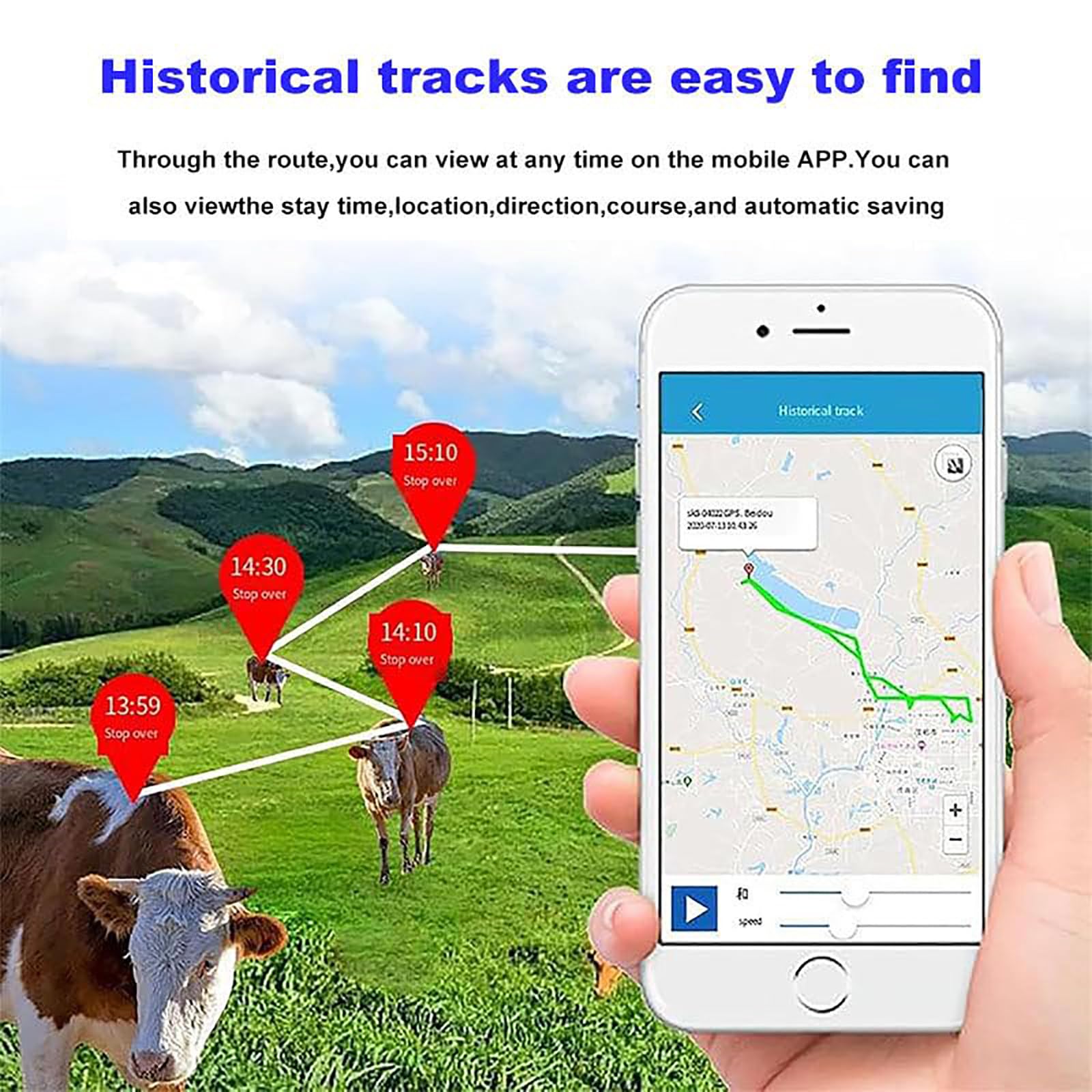 Localisateur GPS Solaire 4G pour Bovins Et Ovins, avec Collier Antivol Et Batterie 20 Ah, Suivi De L'Historique des DéPlacements Via Application, pour Bovins, Ovins Et Chameaux