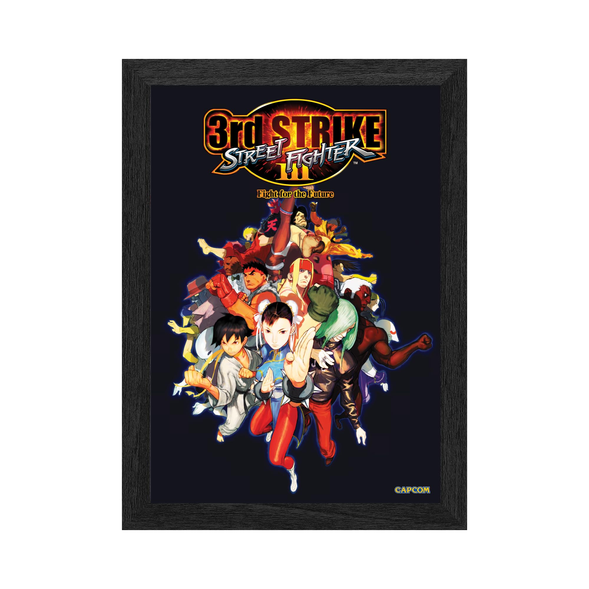 Amazon.com: Level Up Labs Pixel Frames PLAX: Street Fighter III