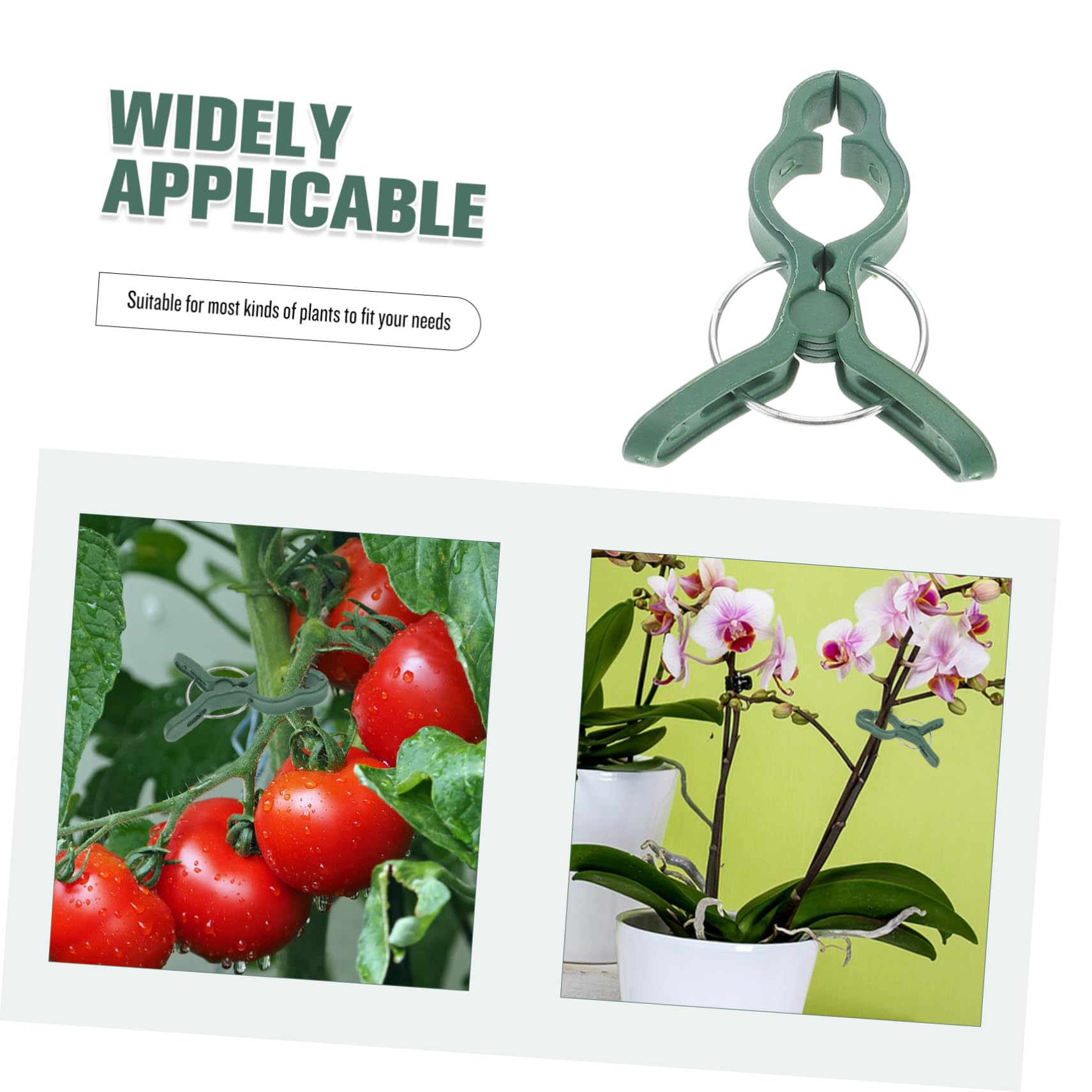 Set di 50 Clip in Plastica per Supporti per Pomodori, Resistenti e Facili da Usare, per Phalaenopsis e Piante da Giardino
