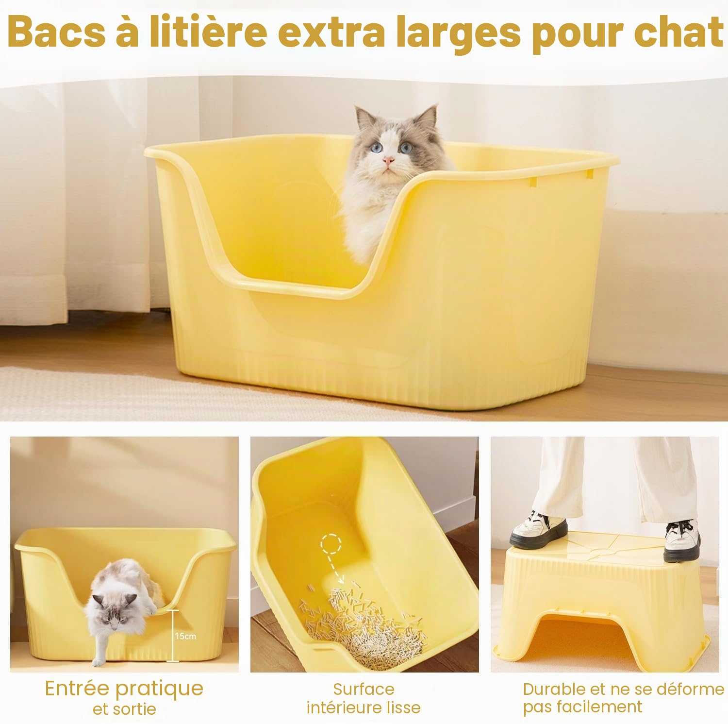 Litière ouverte pour chat - Grand format - 64 x 45 x 33 cm - Bord haut sans couvercle - Protection contre les éclaboussures - Pour grands chats - Taille XXL - Vert