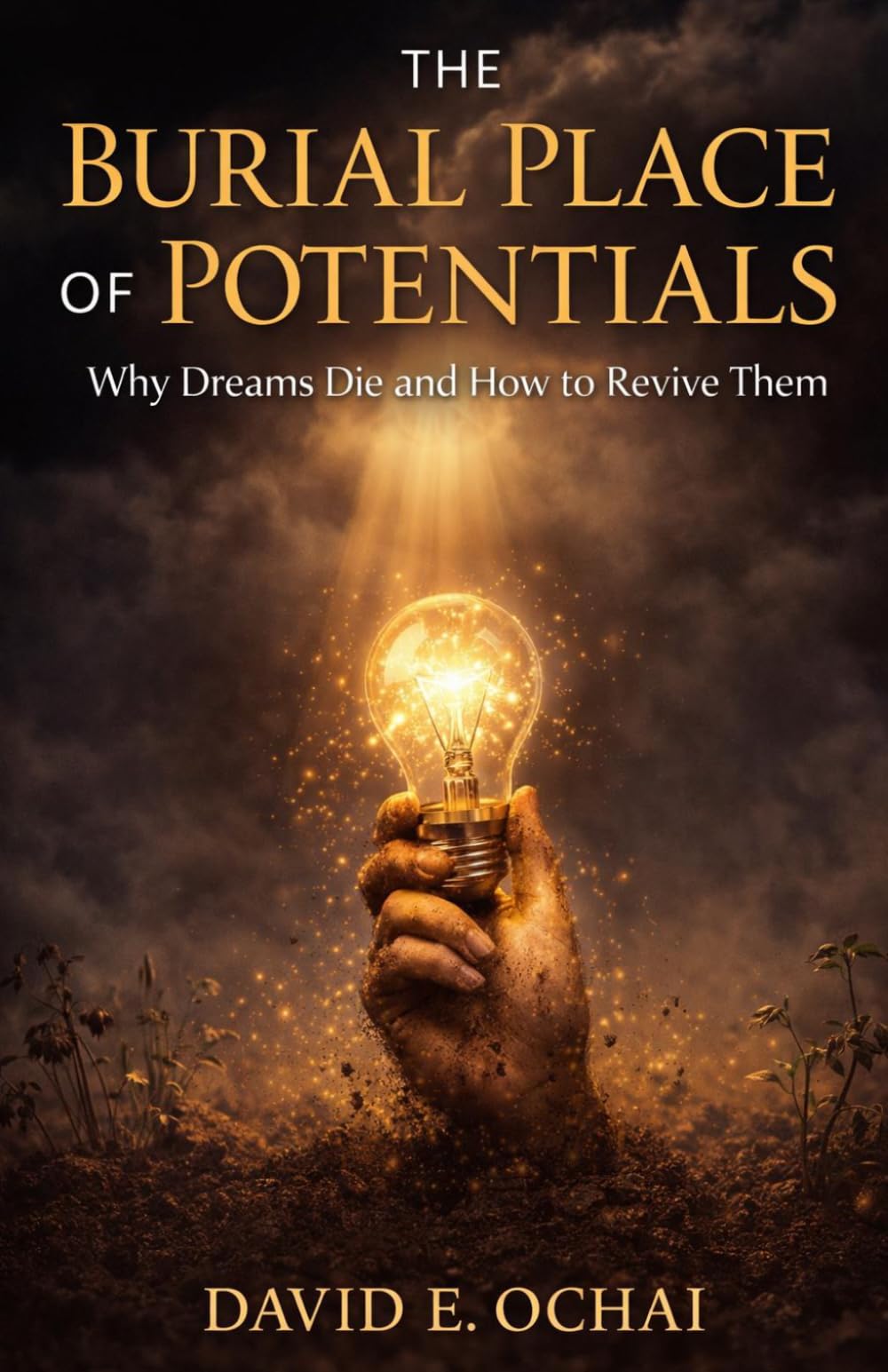 THE BURIAL PLACE OF POTENTIALS: Why Dreams Die and How to Revive Them