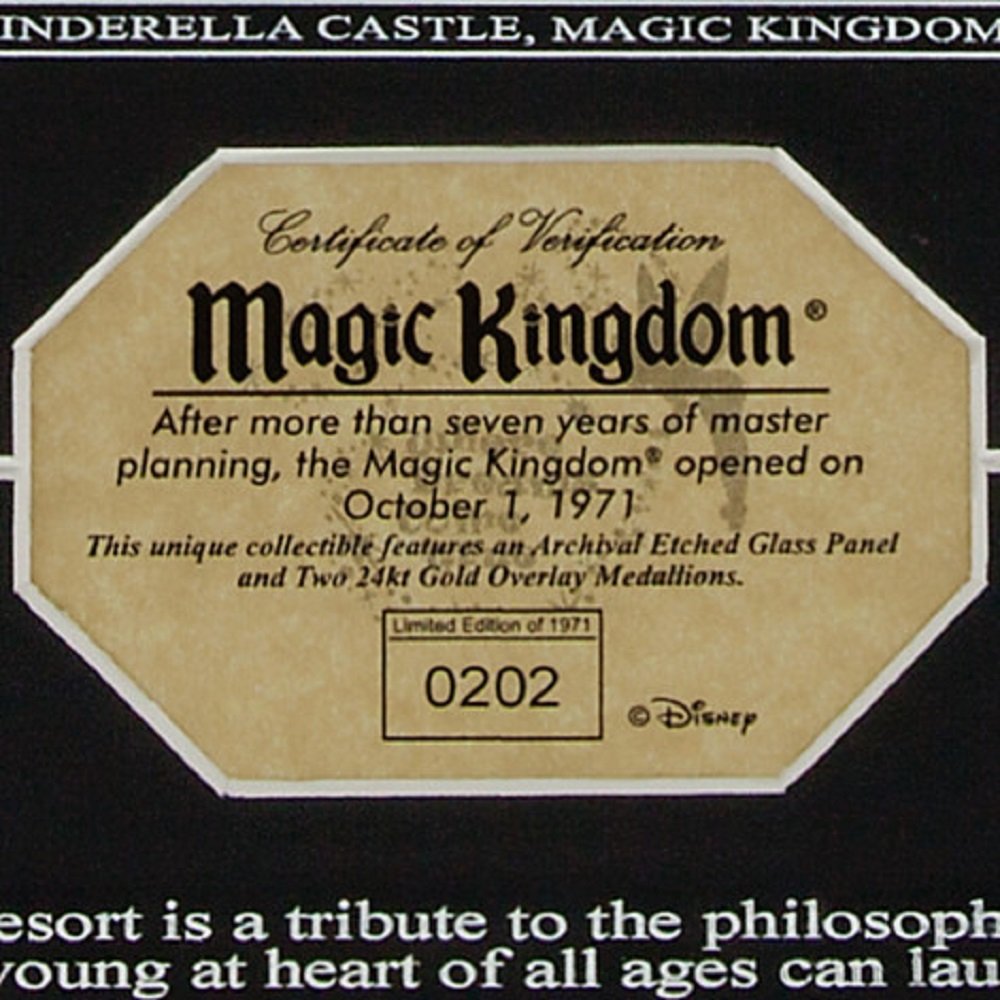 Cinderella Castle Etched Glass Panel with 24kt Gold Overlay Medallions - Walt Disney World - Limited Edition