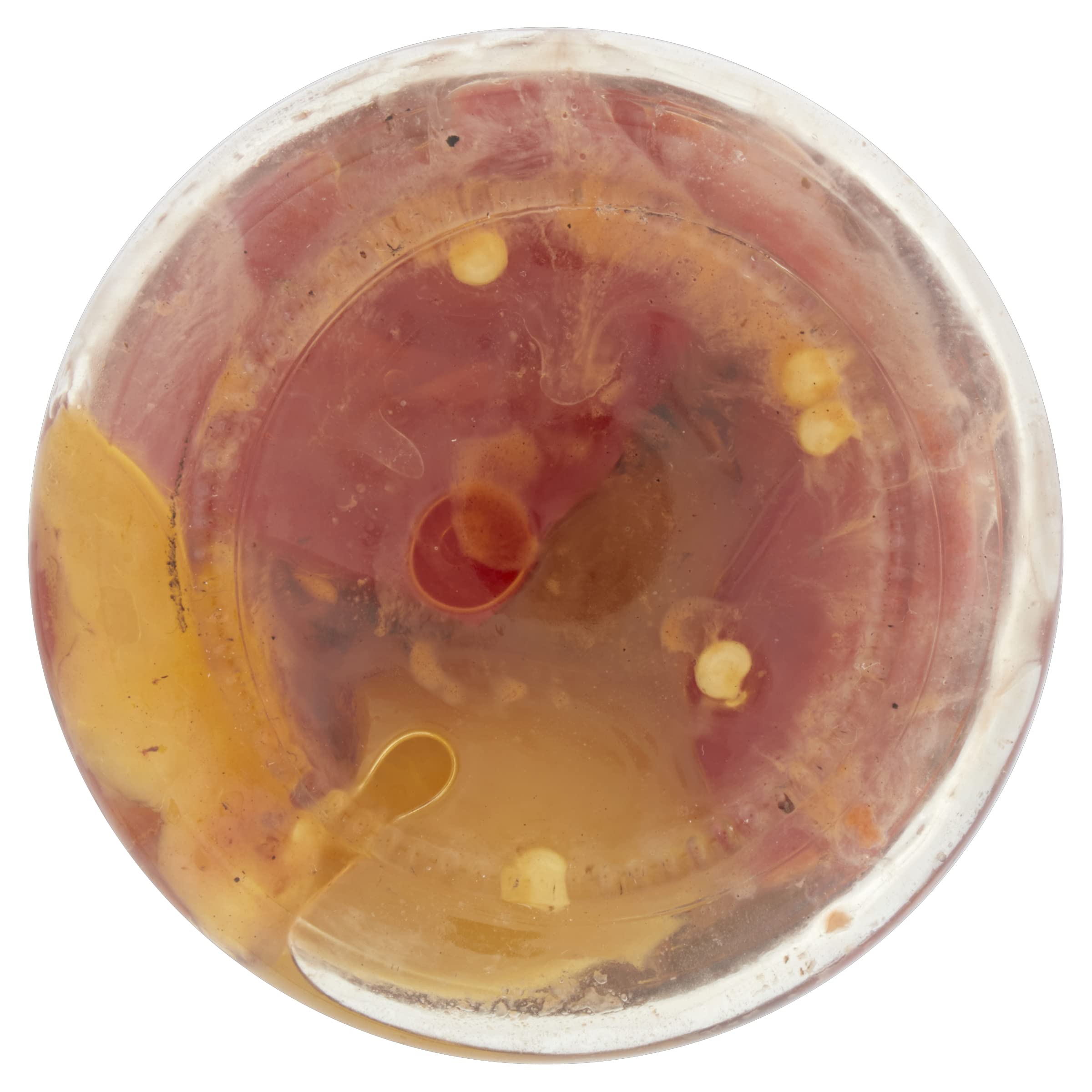 Saclà, Sottoli Grigliati, Peperoni Grigliati, Ideali per Antipasti, Contorni e per le Tue Preparazioni, Vaso Vetro, 290g, Confezione da 12 Pezzi