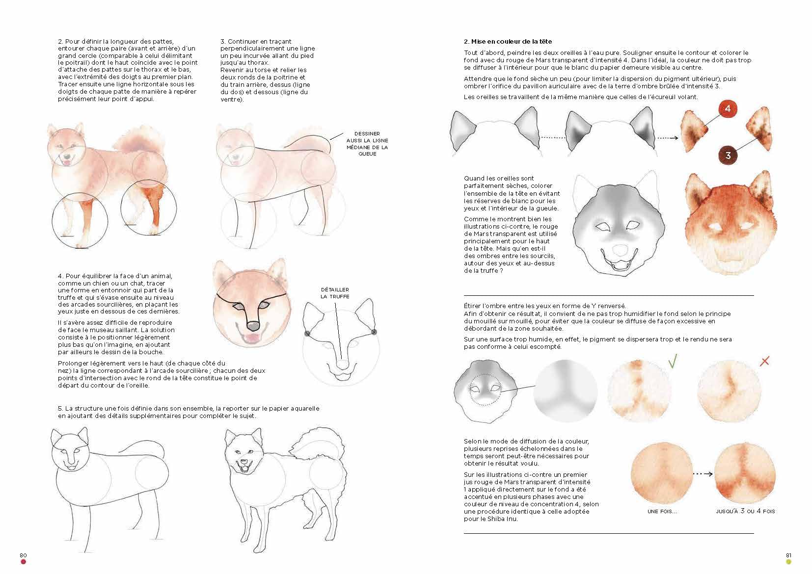 Leçons d'aquarelle japonaise - L'art de peindre les animaux