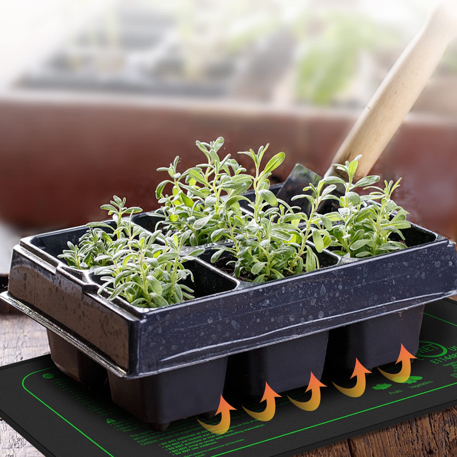 iZELL Tappetino riscaldante per Piante con termostato per piantine, Animali Domestici e rettili, 50 W, per la Regolazione della Temperatura, Riscaldamento rapido, Sicuro e Durevole, 25 x 52 cm