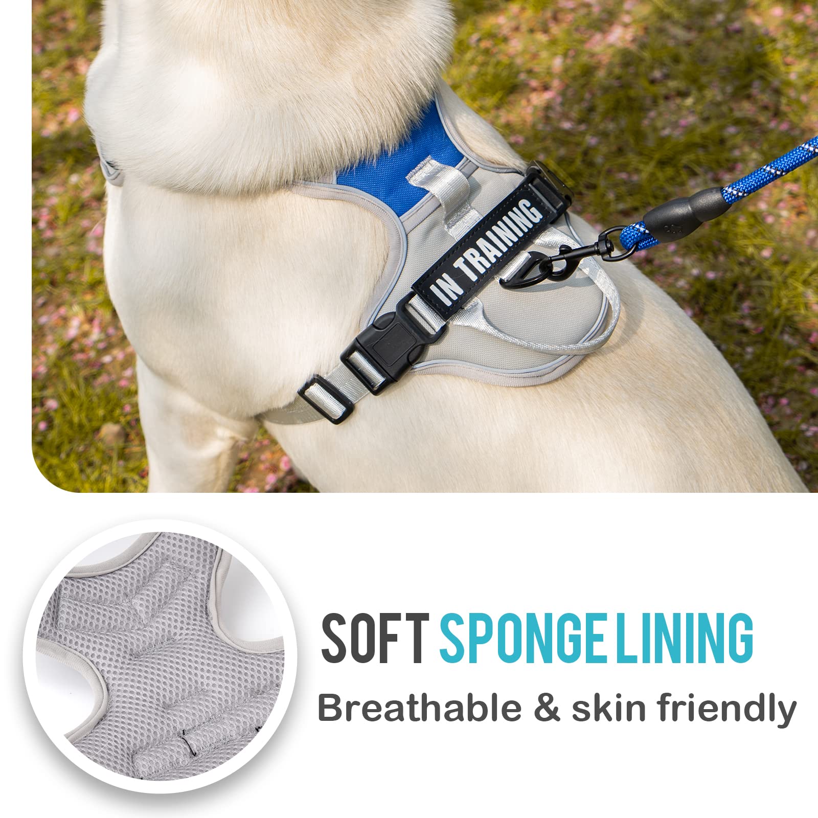 WENDISI No Pull Dog Harness, Reflective Dog Vest Harness with Front & Back 2 Leash Clips, Oxford Pet Harness Adjustable Soft Padded Dog Vest with Easy Control Handle for Small Medium Large Dogs