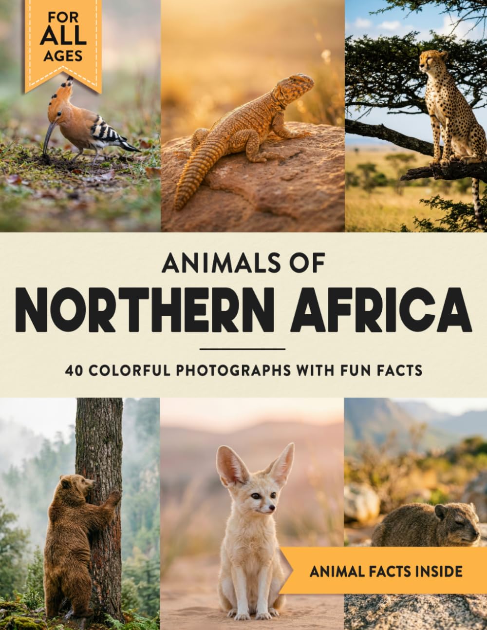 Animals of Northern Africa: A Wildlife Picture Book With Fun Facts Including Cairo and the Sahara Desert For Kids & Adults
