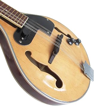 Electric Mandolin Electric Box Mandolin Musical Instrument Mandolin Mandolin Instrument for Beginner