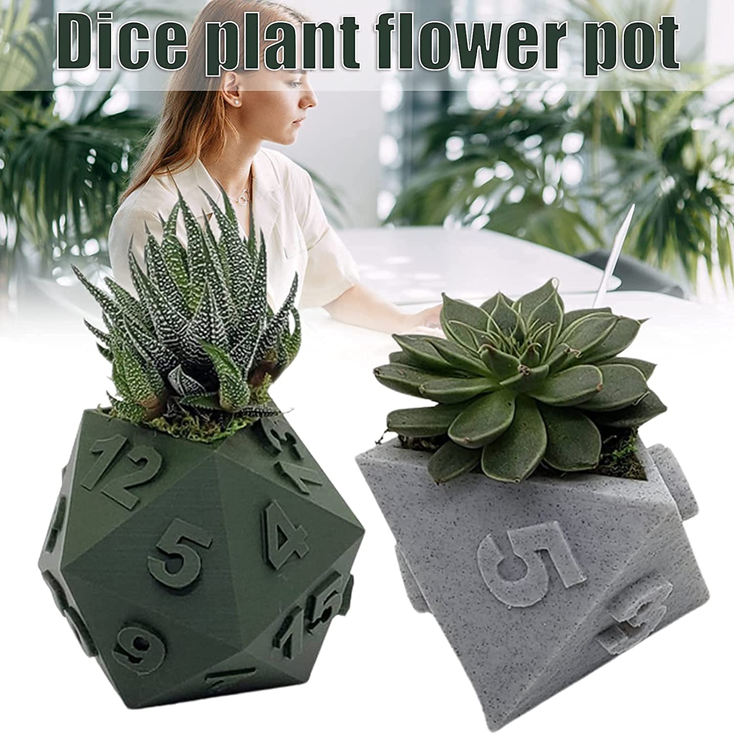 Dice Succulent Planter Cactus Flower Pot D20, D12 and D8 Dice - 3D Printed  Plant Pot for Tabletop RPG Gamers (B) : Amazon.com.au: Toys & Games