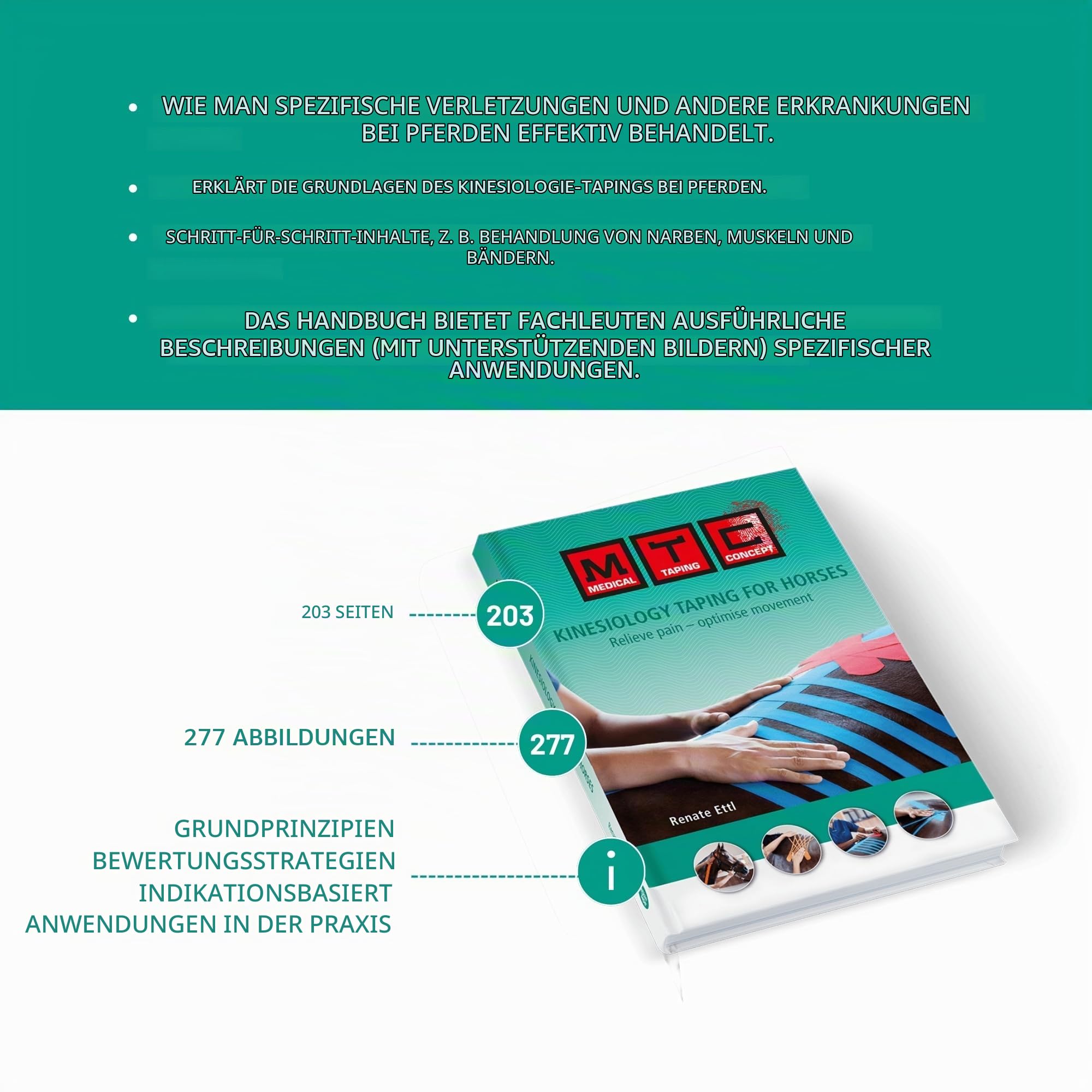 VETKIN VetkinTape Einführungsangebot | Kinesiologie Tape für Pferde und Hunde | Buch zum Taping von Hunde | Tierärztliches Kinesiotapes in 3 Größen (3cm, 6cm & 10cm) | Mit Premium-Schere