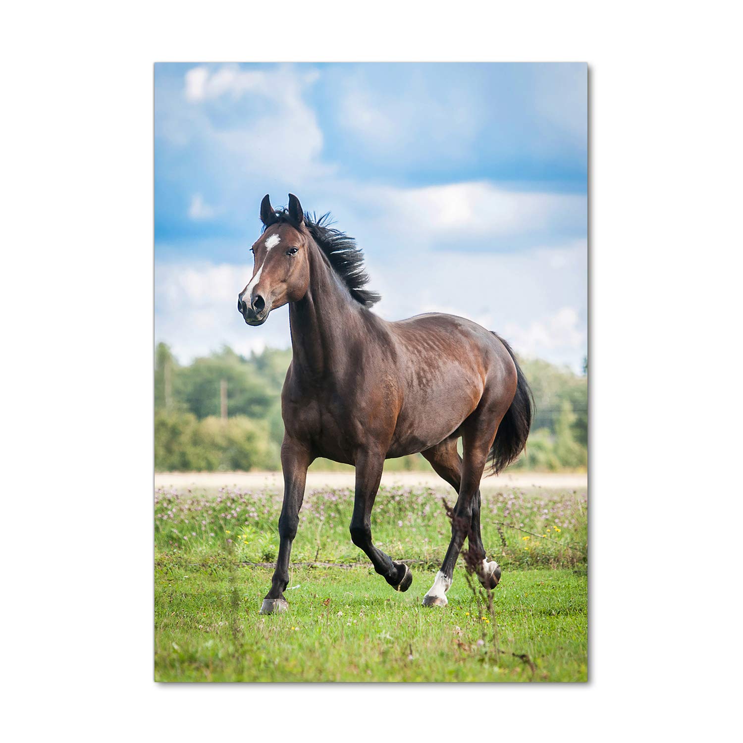 Impression sur verre acrylique premium cheval brun