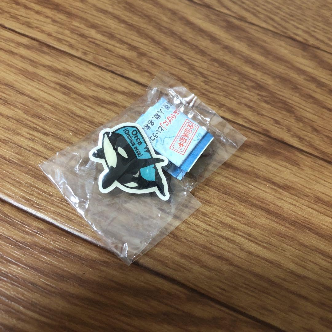 ピンバッチ ピンバッジ ピカチュウ エネコ アチャモ 楽天市場】【メール便／送料無料】 Pokemon Center(ポケモン