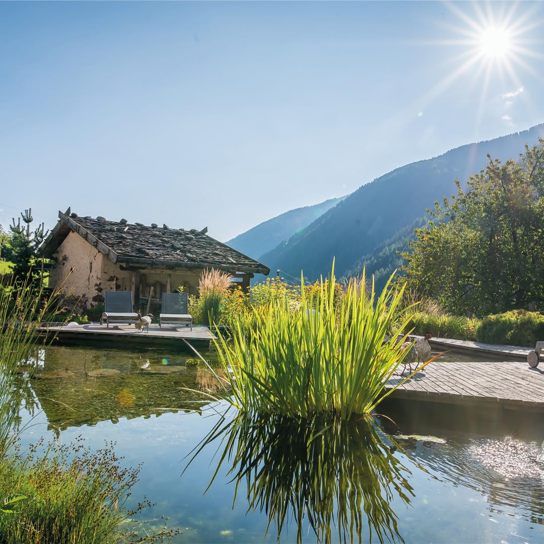 Brilliant Wasseroptimierer – Teichklar für Gartenteich, Schwimmteich, Badesee oder Fischteich - Teichzubehör für verbesserte Wasserqualität - Teichklärer mit Synergieeffekt - 1 kg für bis zu 40.000 l
