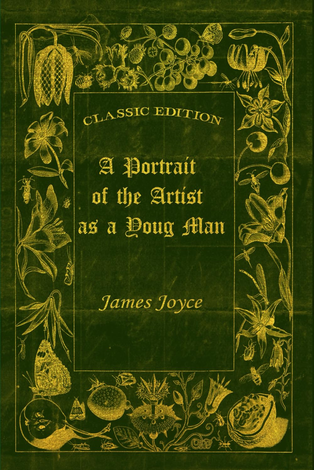 A Portrait of the Artist as a Young Man: With original illustrations