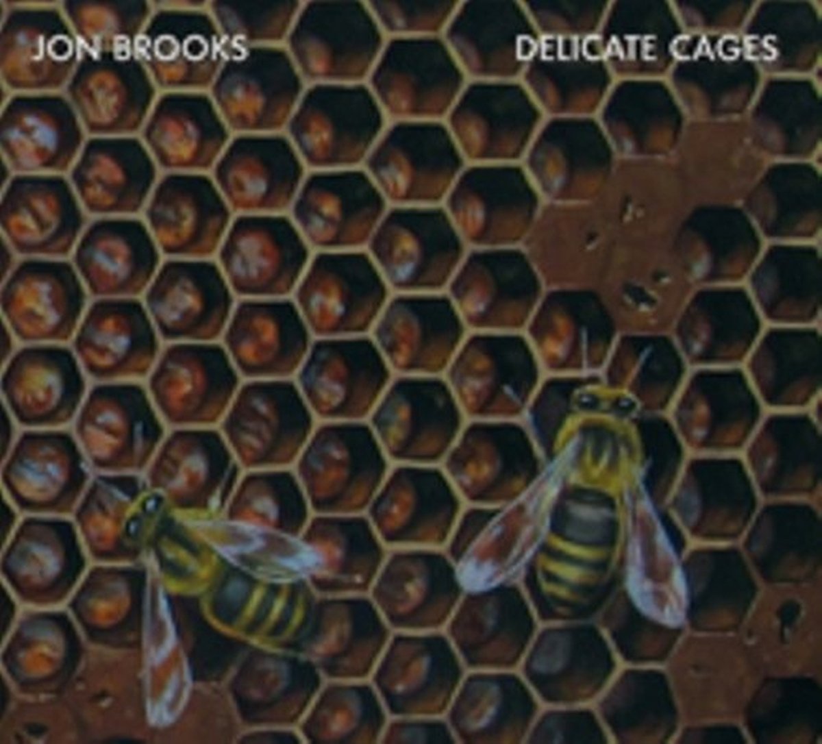 Delicate Cages [Audio CD] BROOKS,JON