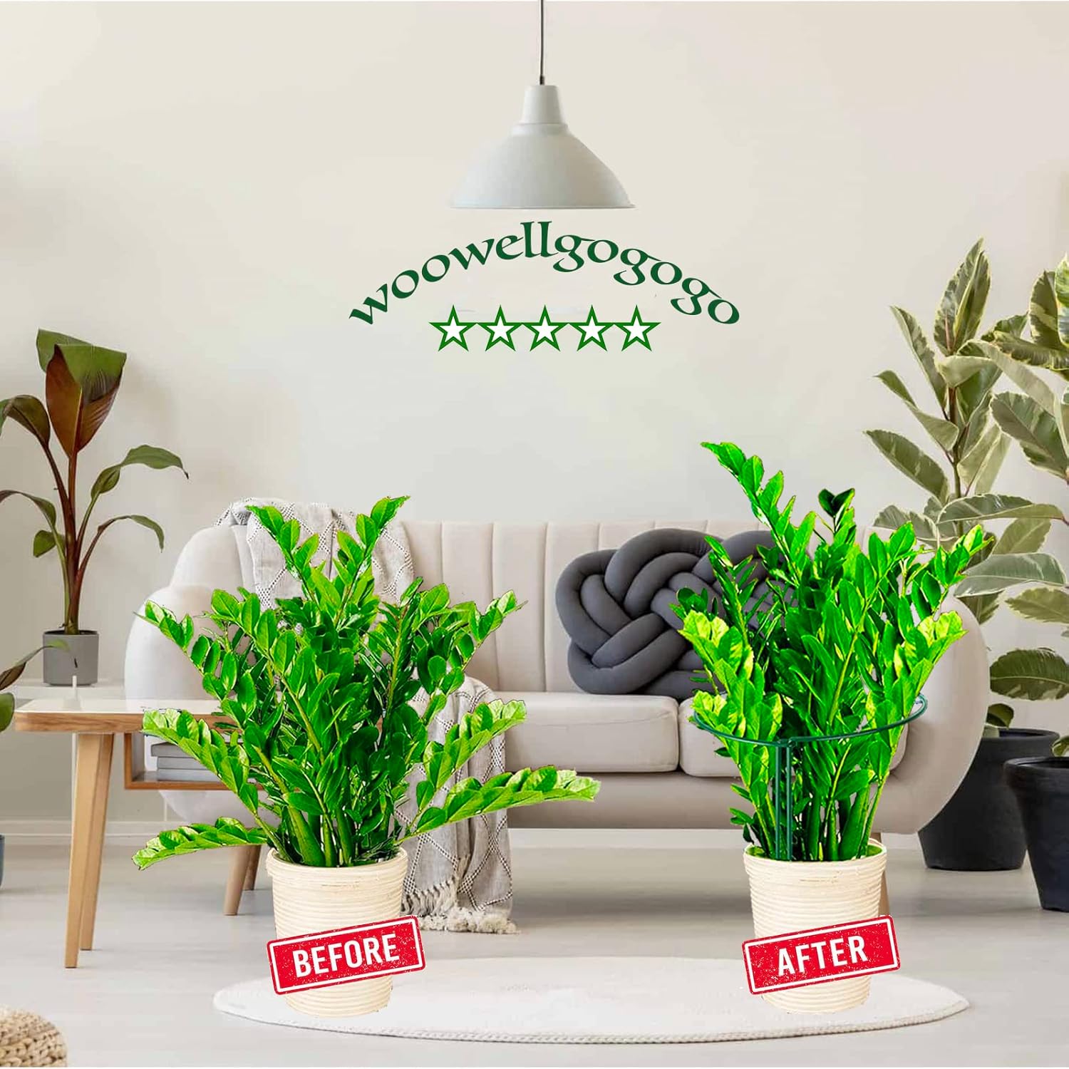 8 Pack Snake Plant Support Stakes - Rust-Proof Half Round Peony Stakes and Supports - Ideal for Hydrangeas, Dahlias, ZZ, and More - Indoor and Outdoor Potted Plant Support and Stakes - Image 4