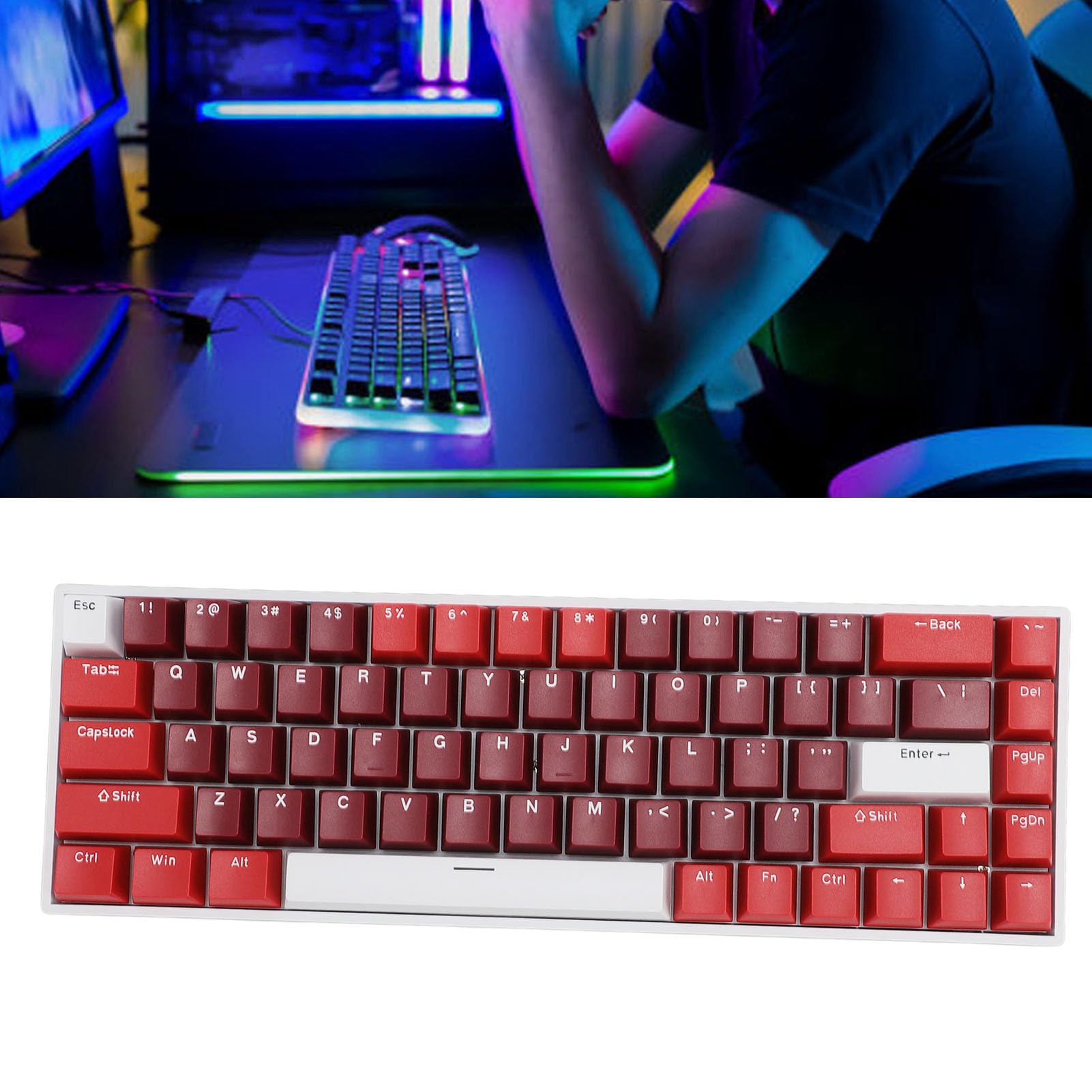 Gugxiom Tastiera Meccanica RGB Wireless a 68 Tasti Al 60%, BT / 2,4 GHz/Tipo C Tastiera da Gioco Bluetooth 5.0 a 3 modalità con Tasti Completi Sostituibili a Caldo, Batteria da 3000 MAh