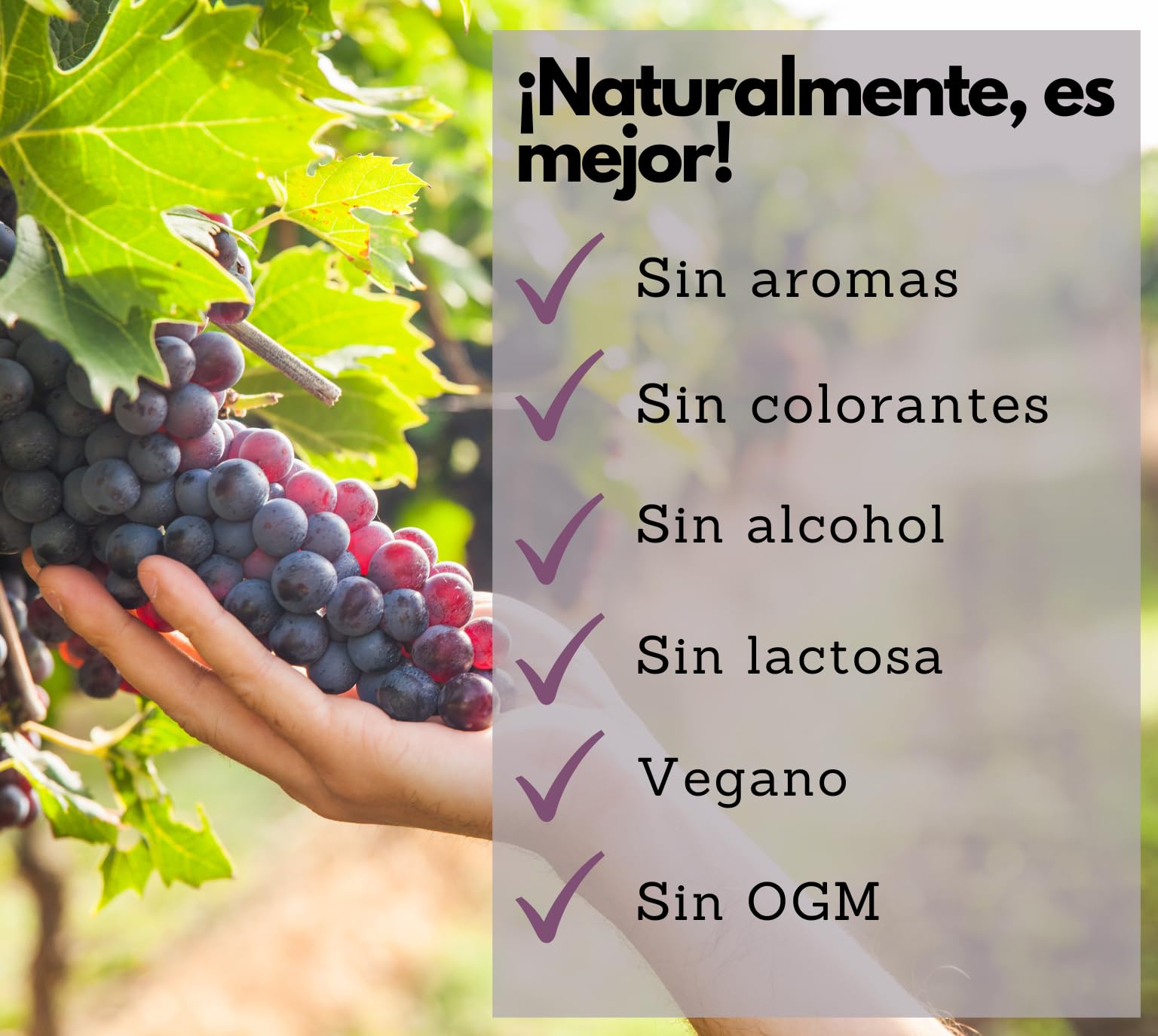 EXVital® OPC Extracto de semilla de uva - 240 cápsulas - alta dosis de 500 mg por cápsula - procedente de uvas francesas - probado en laboratorio y vegano