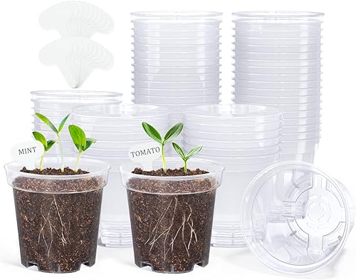 Vista 23 de homenote Macetas transparentes para vivero, maceta de 3/4/5 pulgadas para plantar plántulas de plástico con agujeros de drenaje, flor de iniciación