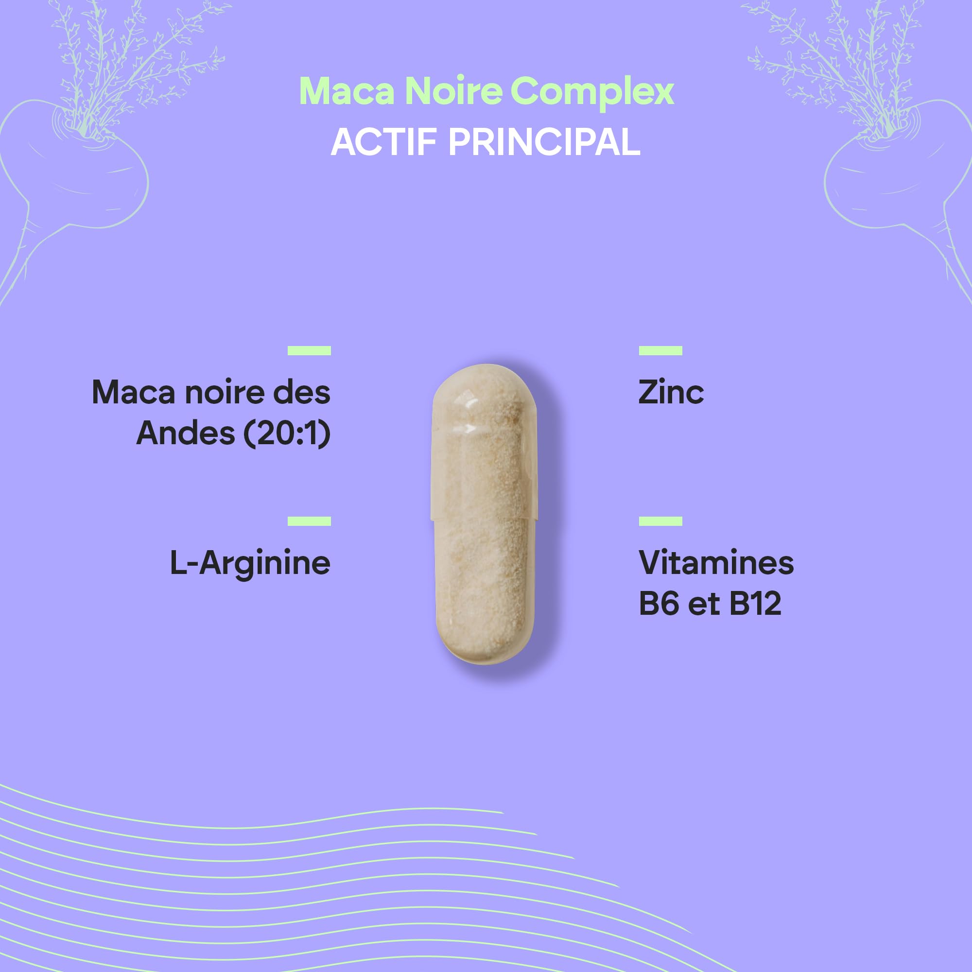 Maca Negra Andina 32 000 mg - Puissance 20:1 et Énergie avec L-Arginine Zinc B6 B12 - Macapéruvienne pour hommes et donnes - 120 gélules Black Maca Complex Nutralie