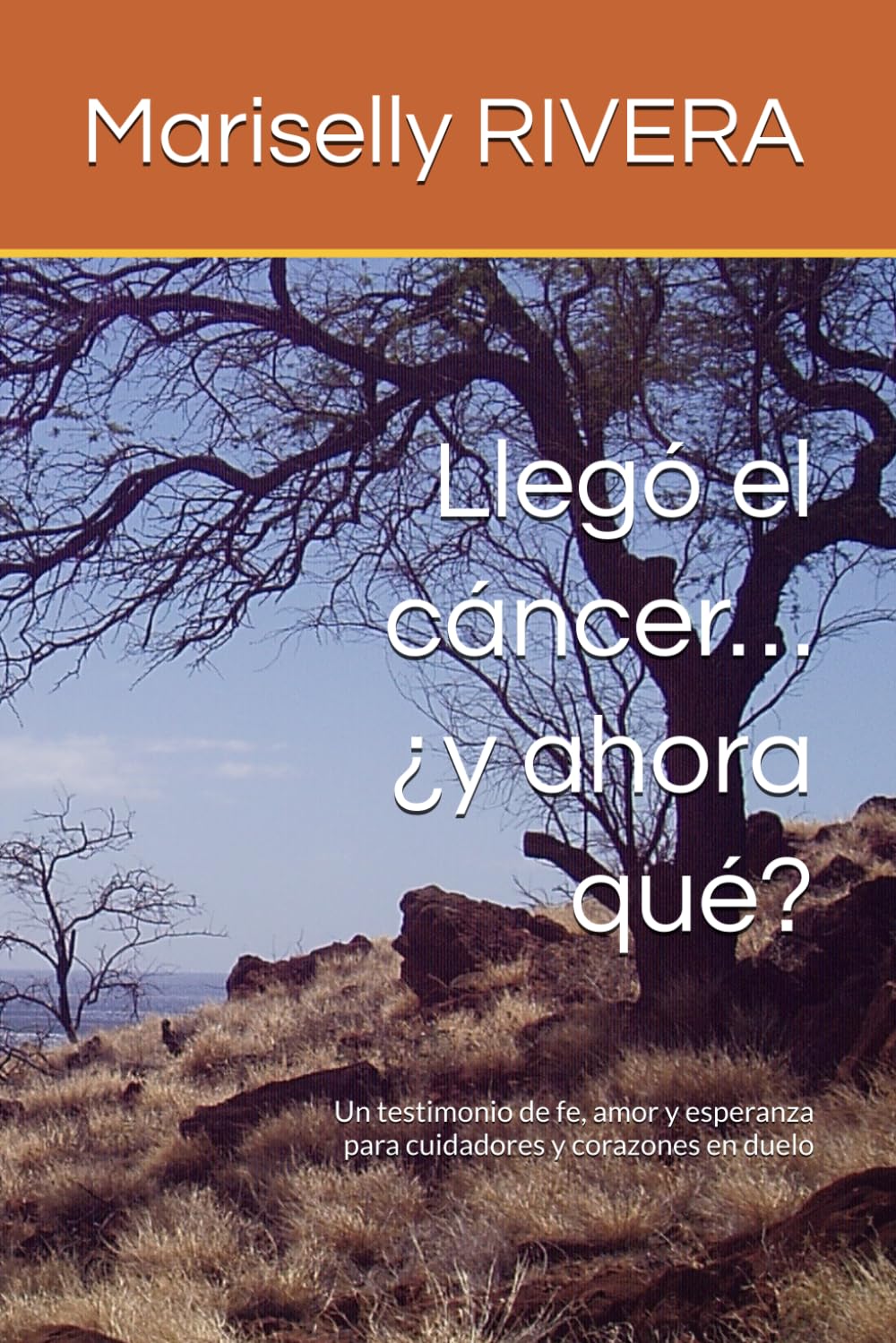 Llegó el cáncer… ¿y ahora qué?: Un testimonio de fe, amor y esperanza para cuidadores y corazones en duelo