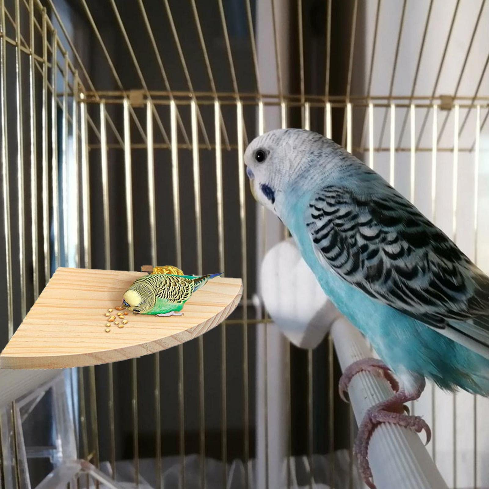 Pesce Persico Per Uccelli Supporto Per Posatoio Per Uccelli Parrot Per