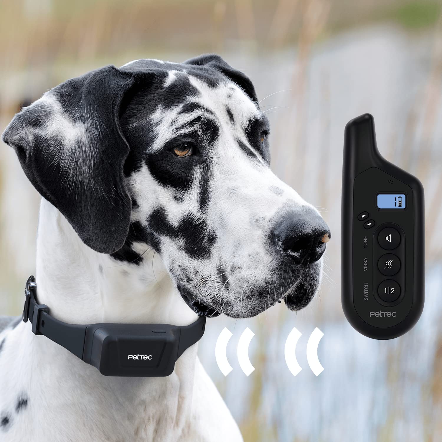 PetTec Collar de adiestramiento para Perros con vibración y señal acústica, Mando a Distancia de 300 m, batería Recargable y Resistente al Agua IPX7, 16 Niveles de Intensidad de vibración