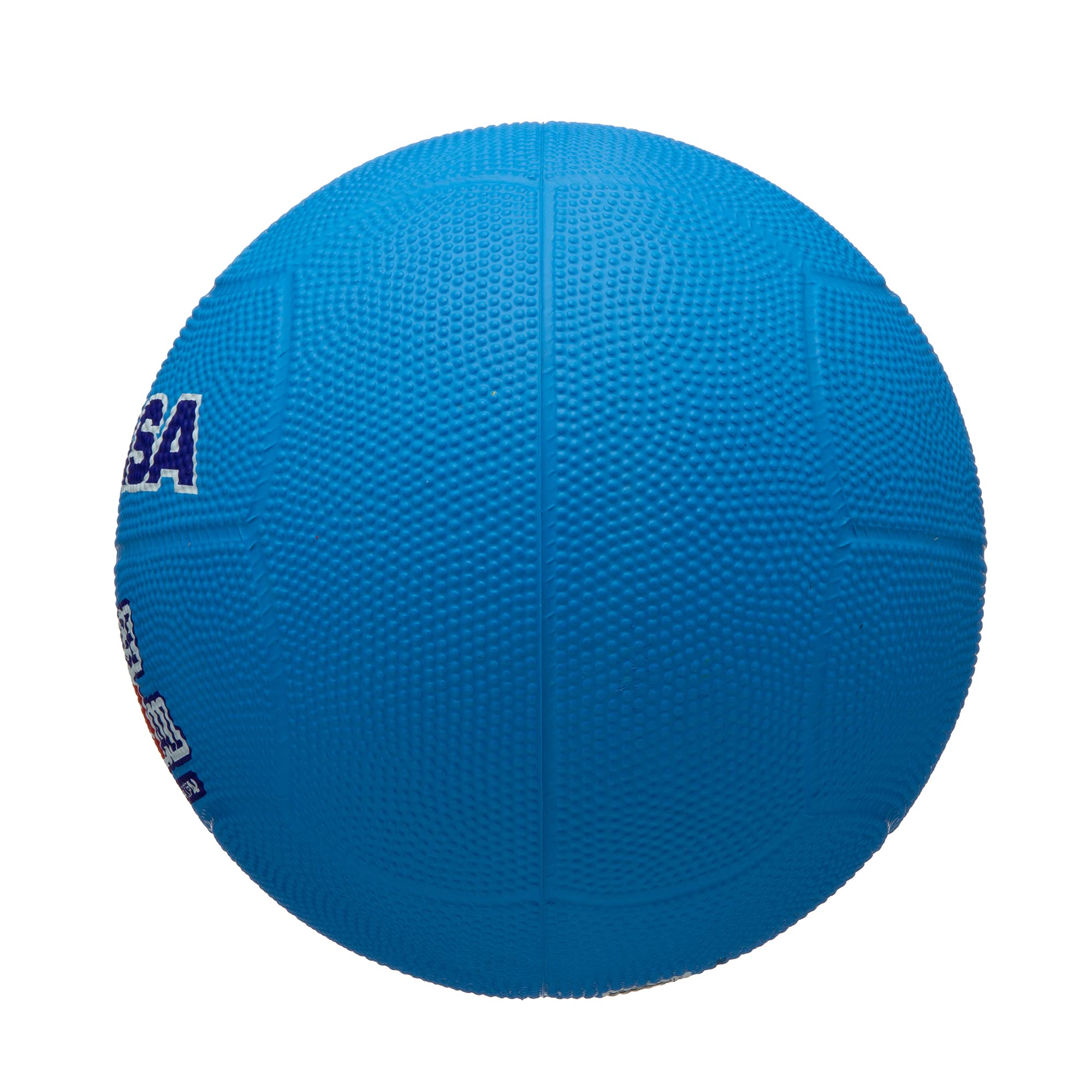 Mikasa Dodgeball D2-BL