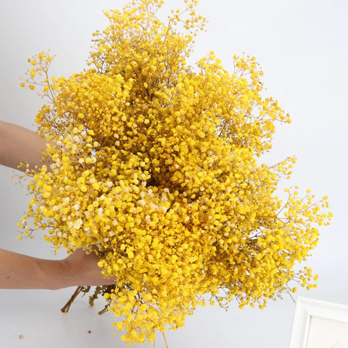 beerfingo Dried-Flowers-Babys-Breath-Bouquet 17.2 inches 2500+ Flowers, Natural Gypsophila, Dry Flowers Bulk for Vase Home Decor, Wedding, Table Decor, DIY Wreath Floral(Yellow)