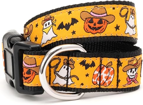THE WORTHY DOG Collar for Small Dogs, Adjusts 9-15 inches, Durable Nylon Webbing, Quick Release Buckle, Howdyween Pattern, Orange, Small