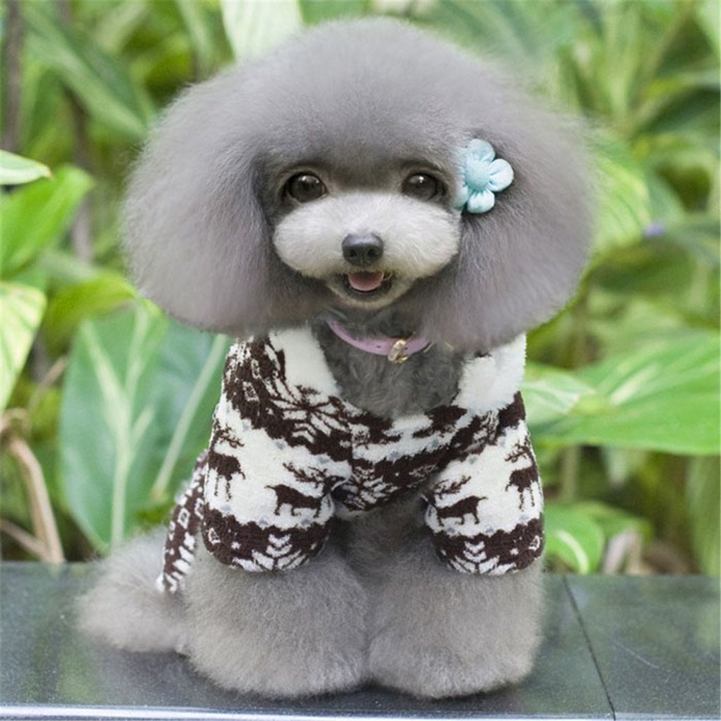 Pet Pjs - Teddy Bear Pet Pjs Chenille Hoodie Sweaters - XSmall (Fits Up to 10 lbs)