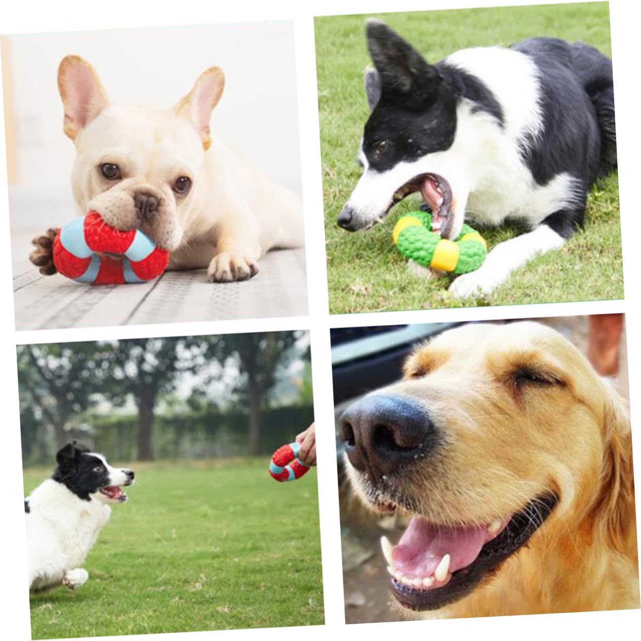 SUPVOX 3piezas Juguete De Molar Resistente para Mascotas Sonido Divertido y Diseño De Salvavidas para Perros y Cachorros Juguete para Masticar y Jugar Rojo
