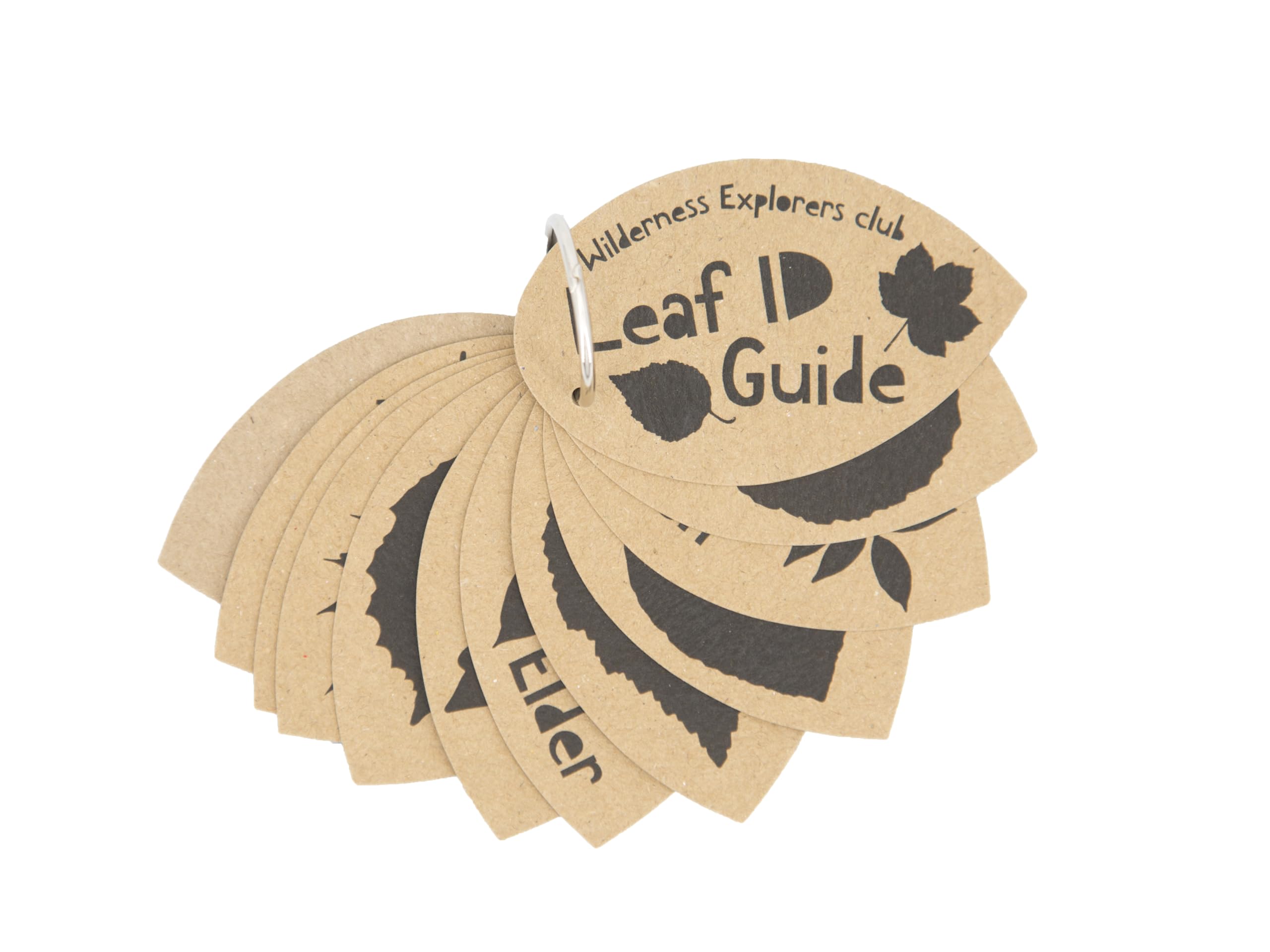 Leaf ID Guide - perfect for forest school, child minder, home ed, camping trips