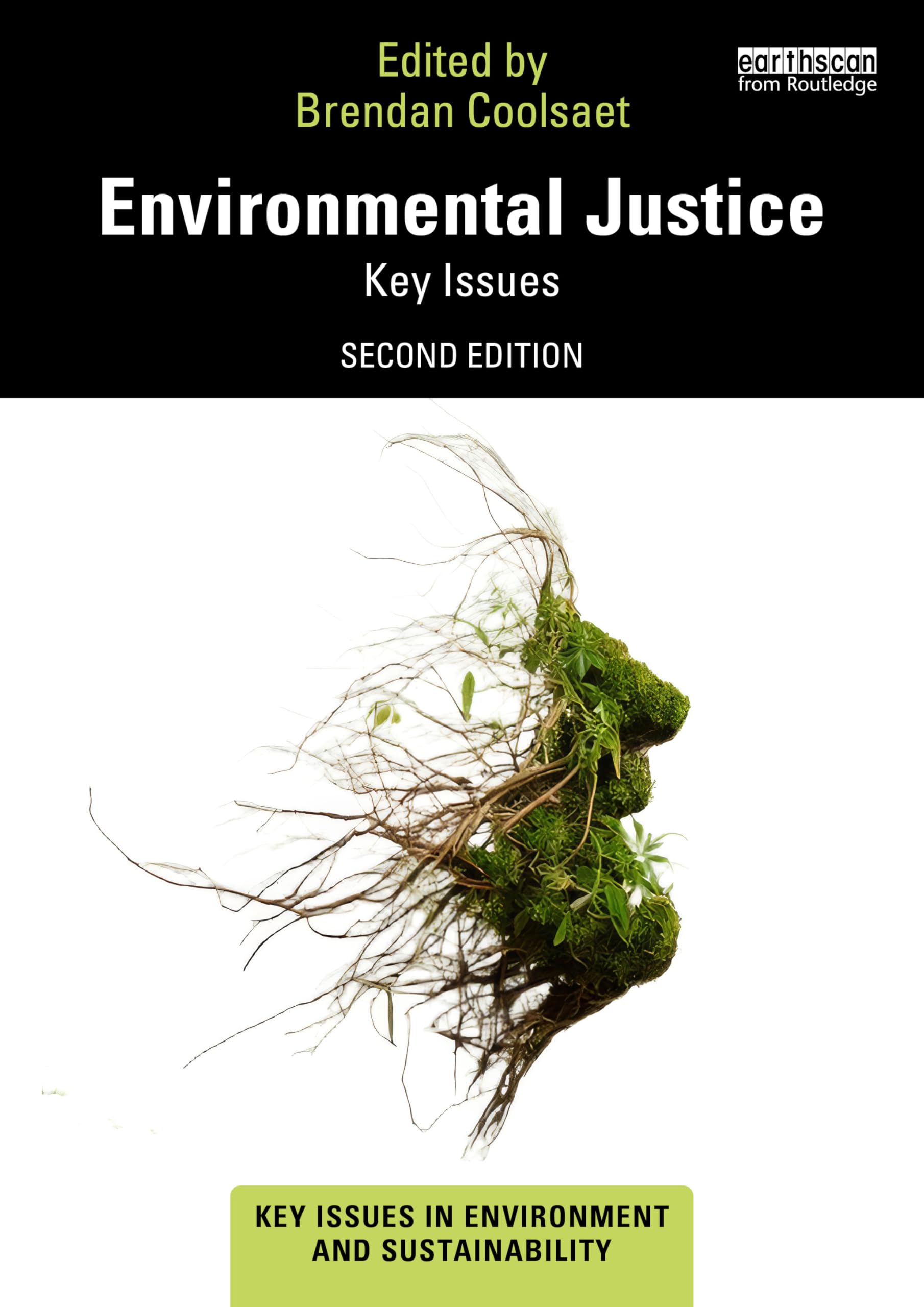 Environmental Justice: Key Issues (Key Issues in Environment and Sustainability)