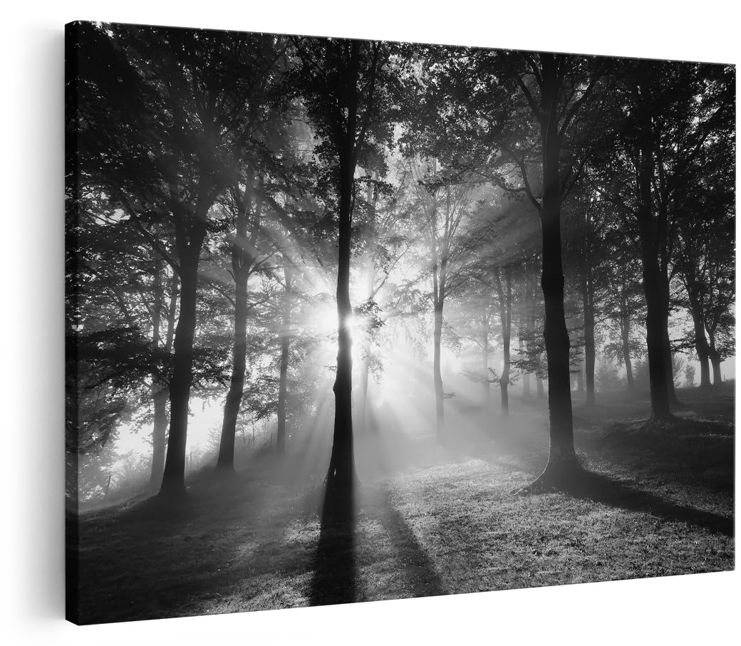 Artaza Leinwand Bilder Wald - 120x80 cm - Groß XXL - Nebel Wanddeko - Landschaftsbilder Wandbild Natur - Deko Wohnzimmer