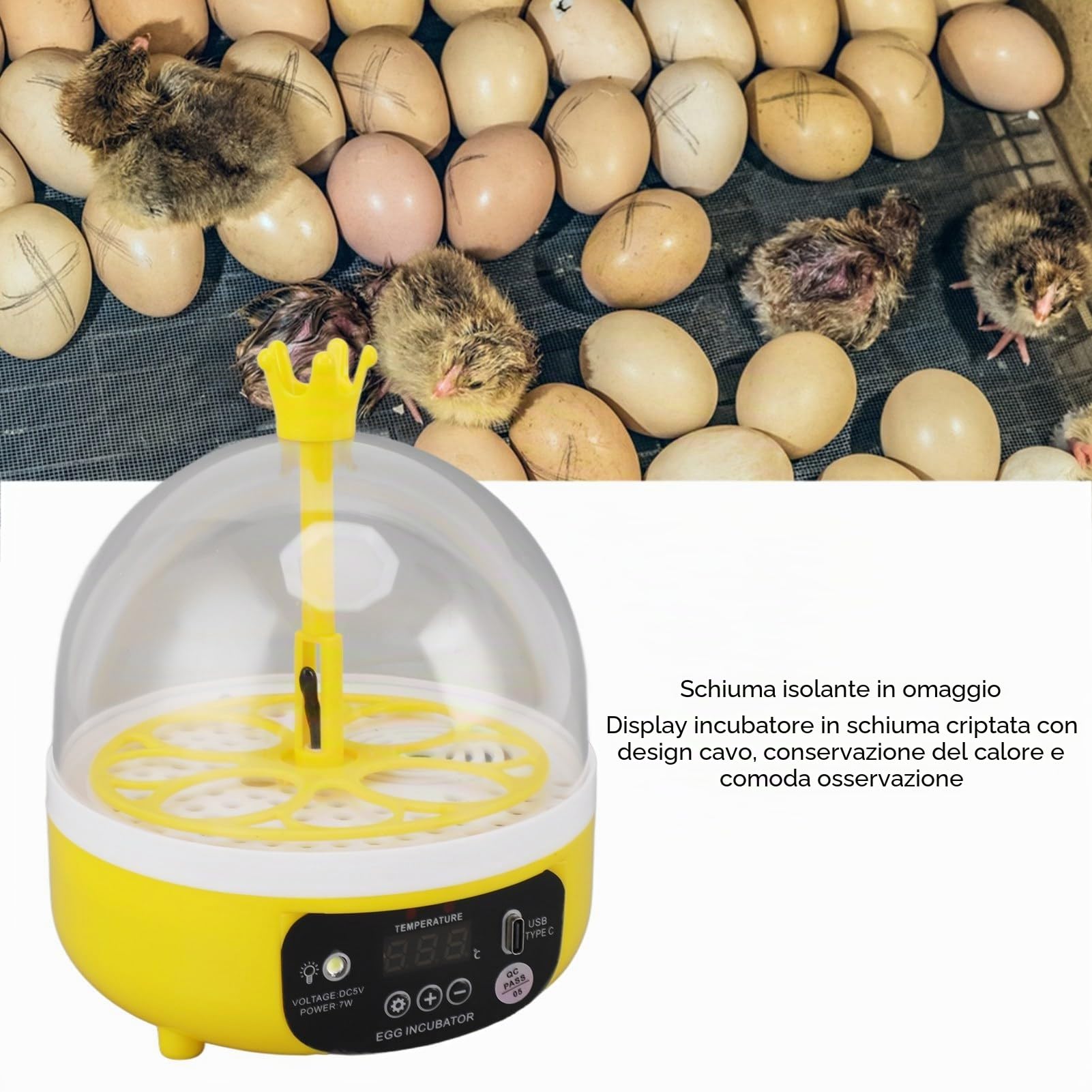 Mini Incubatrice per Uova: Controllo Automatico Umidità Temperatura mini incubatrice per uova 4 Uova, Silenziosa, Portatile, LED, 7W egg incubator Incubators
