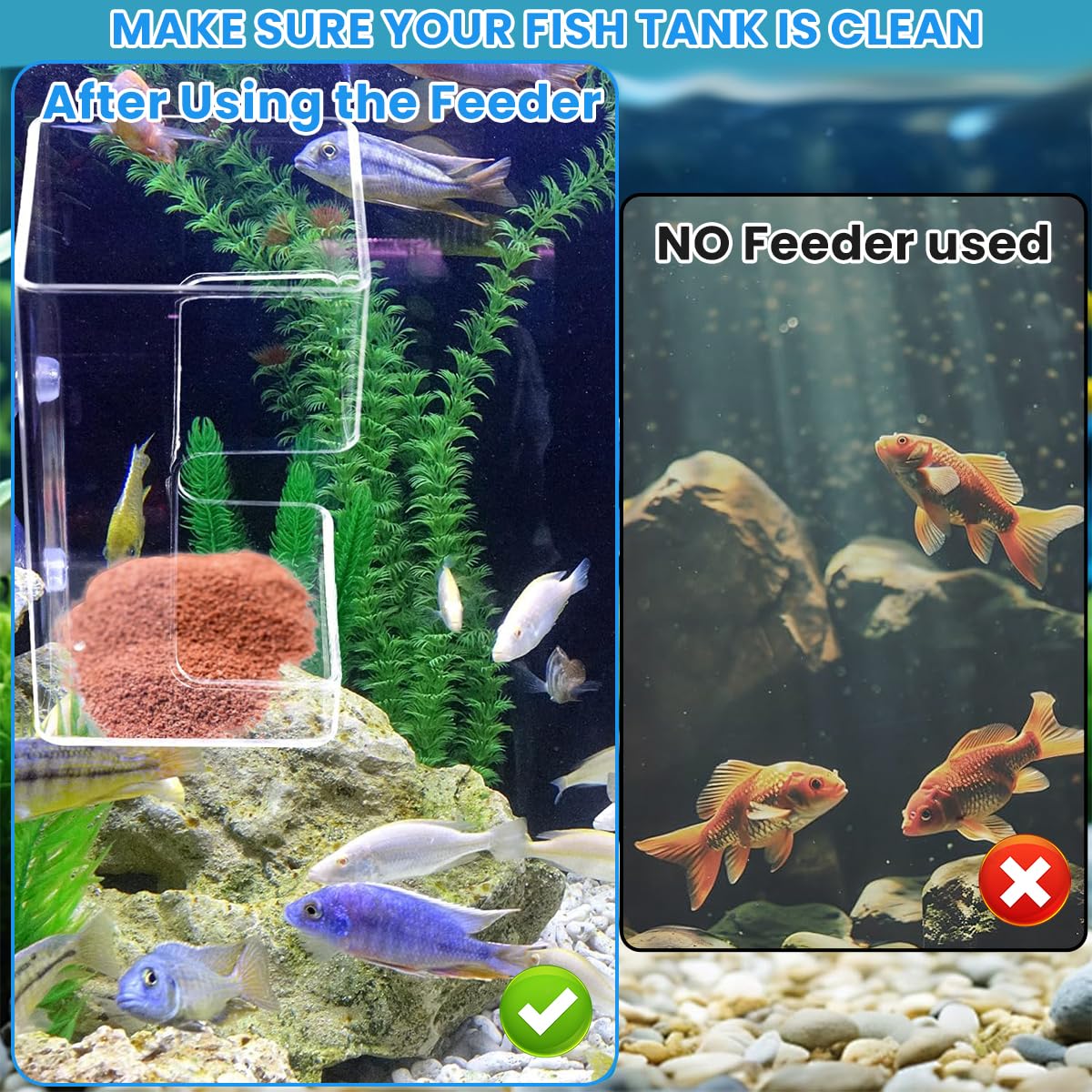 Aquarium Fish Feeder Feeding Tray with 2pcs Suction Cup - Image 4