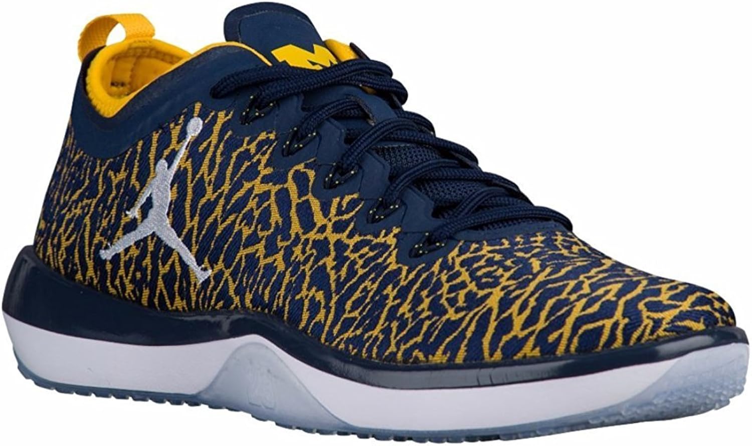 Michigan wolverines jordan shoes Clearance