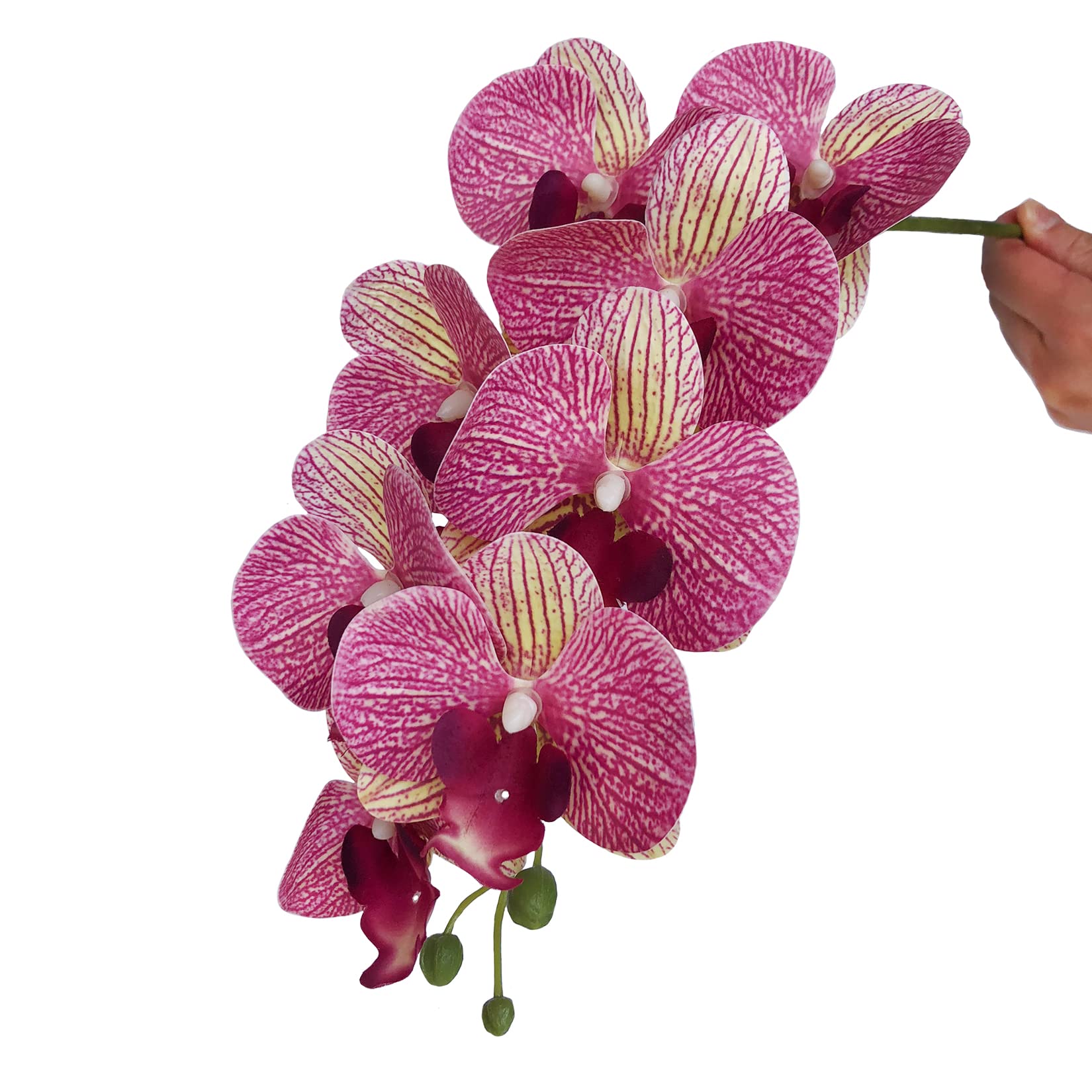 FagusHome 81.3 cm künstliche Phalaenopsis-Blumen, 4 Stück mit 2 Bündeln, Orchideenblumen, Stielpflanzen, Schmetterlinge - Image 3