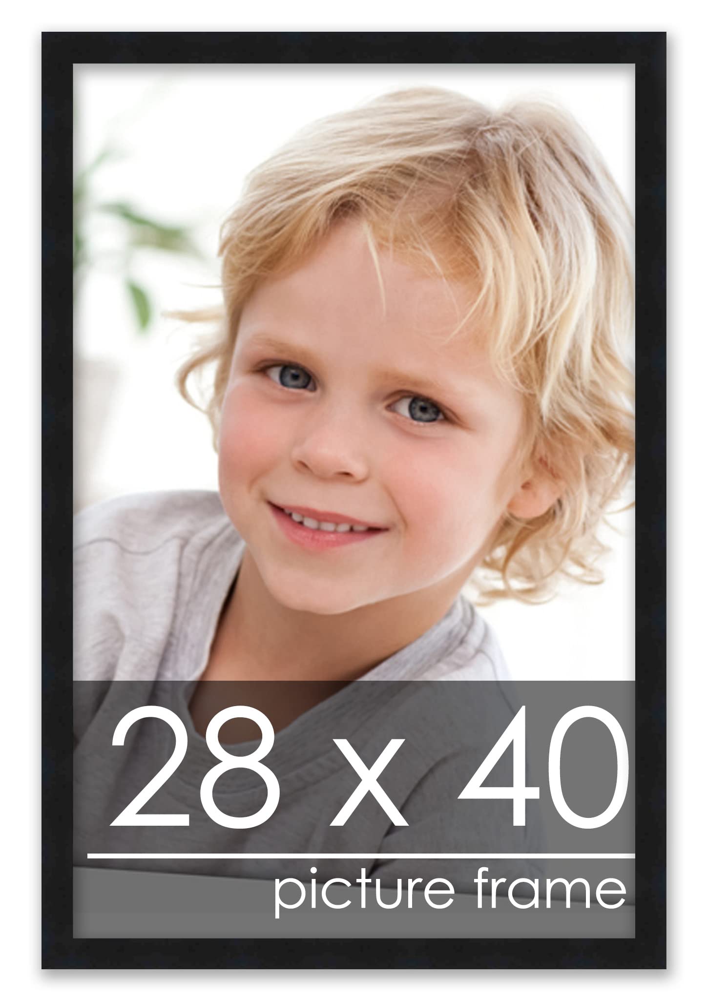 Poster Palooza 28x40 Contemporary Black Complete Wood Picture Frame