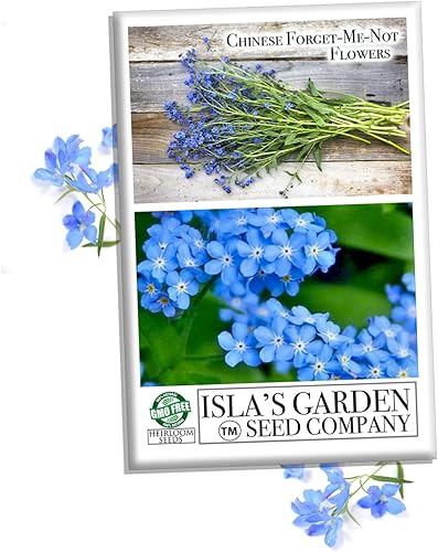 Semillas de flores chinas que no me olviden, más de 300 semillas de flores tradicionales por paquete, semillas de jardín de Isla (semillas de jardín