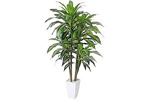 Lifelike Artificial Dracaena Tree: Enhance Your Home Oasis with Lush Greenery