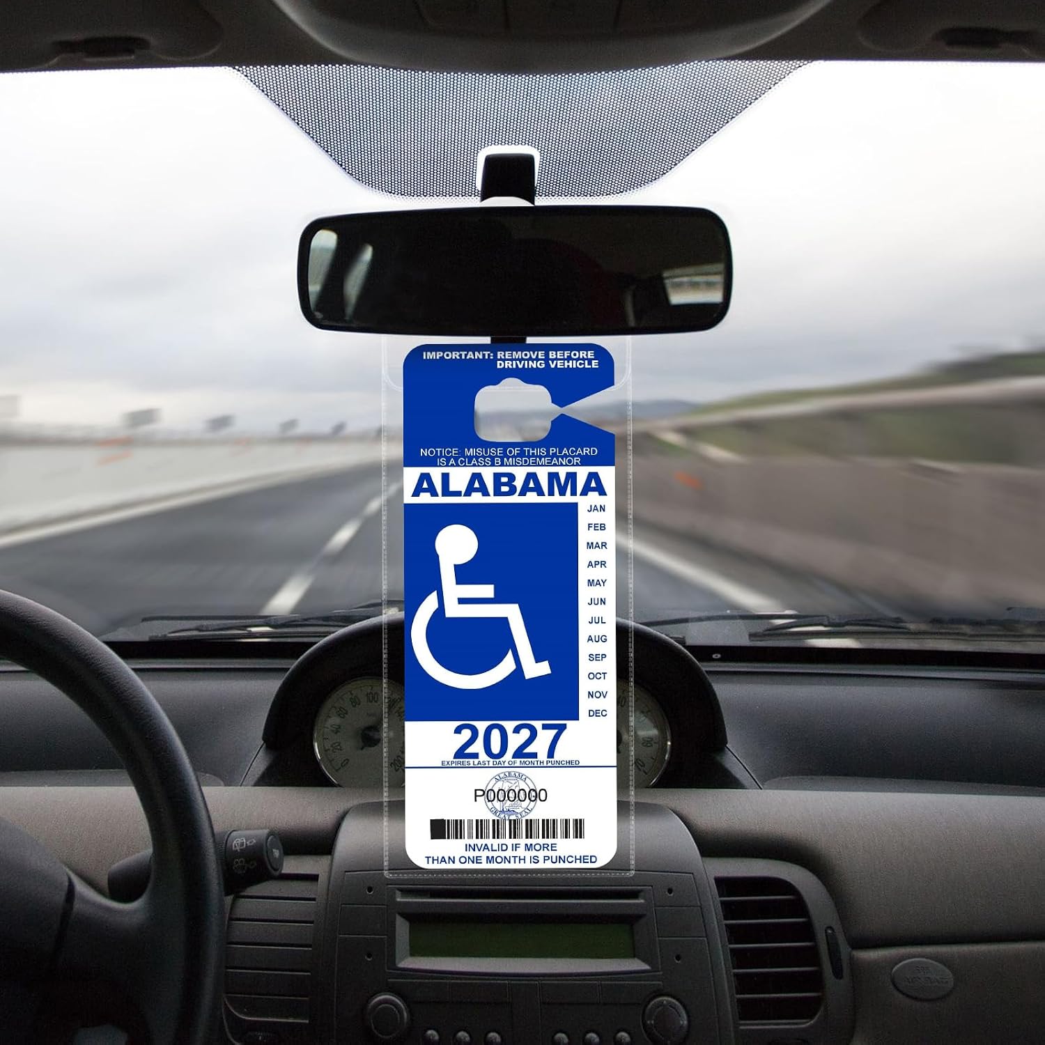 REGUICORP Handicap Placard Holder 4P, Ultra Transparent Handicap Placard Holder for Auto, Handicapped Placard Holder with Large Hanger for Disability Parking