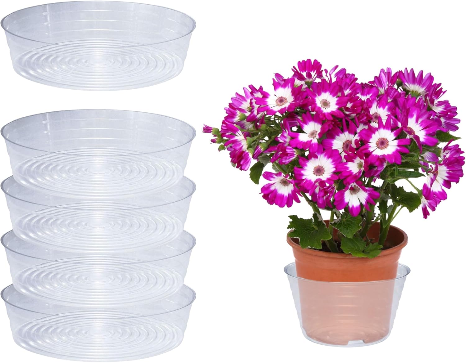 Curtis Wagner Plastics Drip Pan Saucers (5-Pack) - Clear, Deep (Diameter: 14.5" Base, 16" Top, 3.75" Depth) Thin Plastic Plant Tray Indoor Outdoor