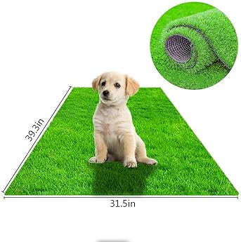 Explore Patio Grass For Dogs Amazon Com