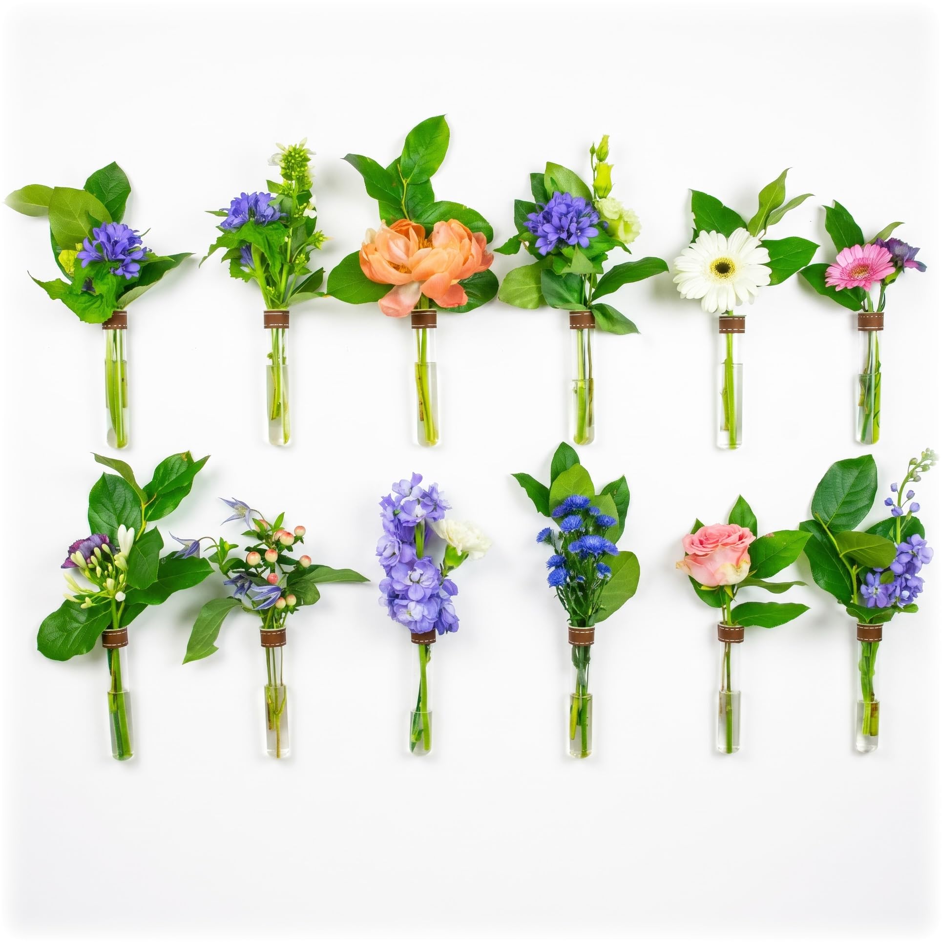 Jarrones magnéticos de pared en tubo de ensayo con fundas de piel cognac exclusivas | Set de 12