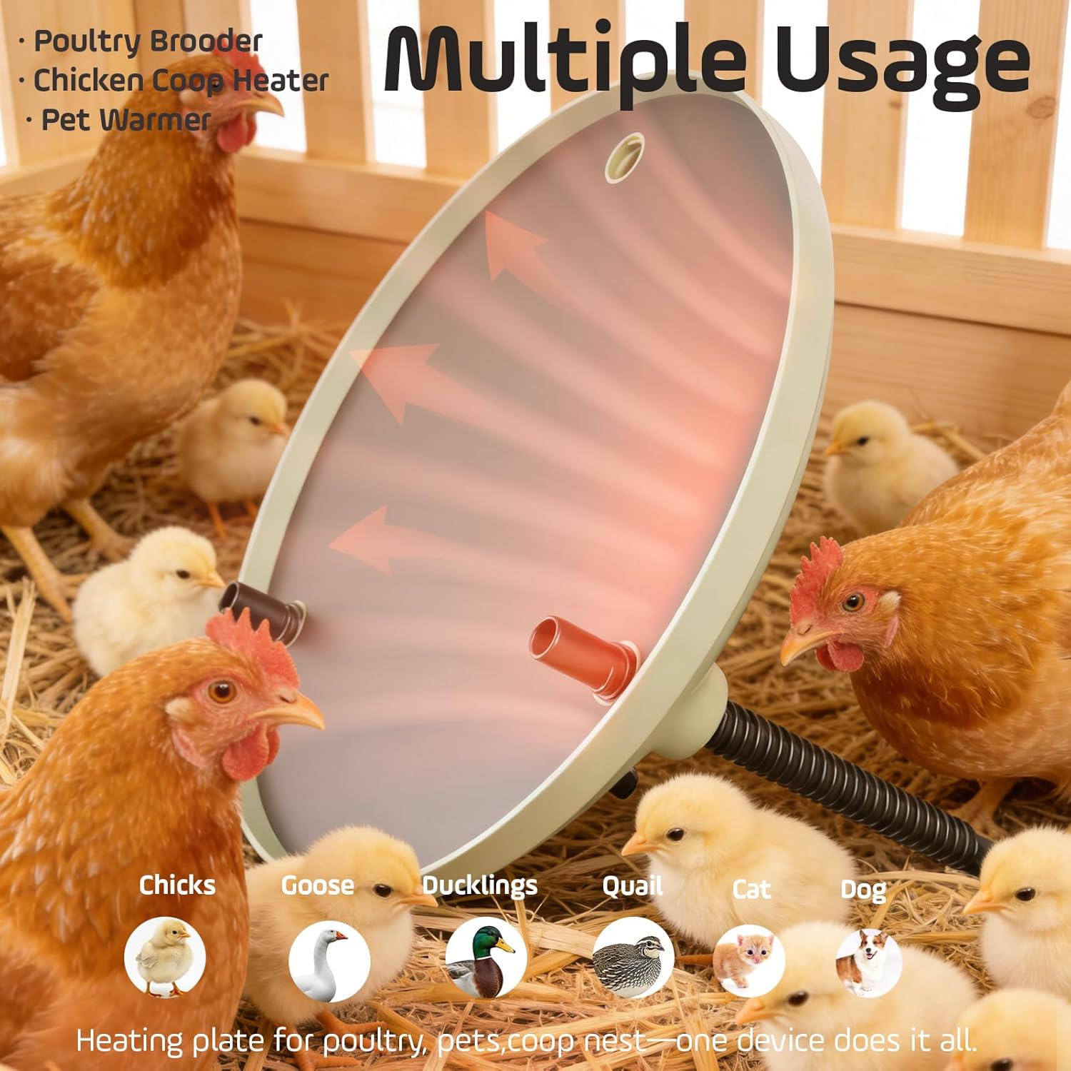 Brooder Plate for Chicks,12inch Metal Heating Plate,Perfectly Adjustable Height & Angle, 35W Chick Warmer for Brooding Newborn Chicken Duckling Quail,Chicken Coop Heater, Warming Puppy Cats
